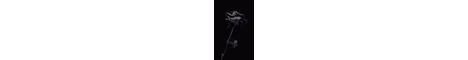 devils crow smp banner
