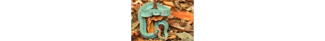 BlueV banner