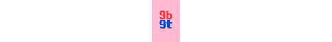 9b9t banner