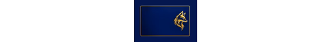 Fox Spare Server banner