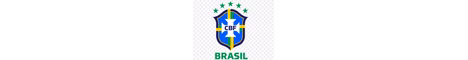 brasileiros banner
