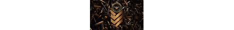 DoD Gaming Community banner
