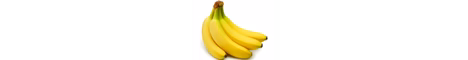 BANANANA smp banner