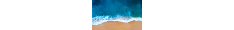 WaveSMP banner