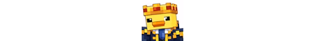DuckSMP banner