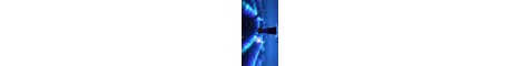 pedro banner