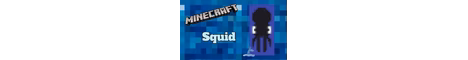 squid mc banner