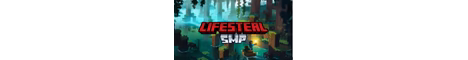 killsmp banner