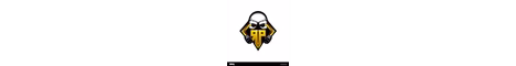 raymondsmp banner