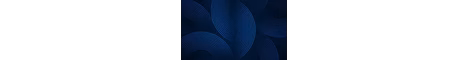 foxxy123 SMP banner