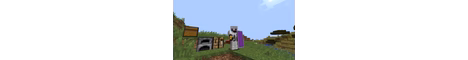 ender21 banner