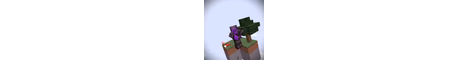 FalconSMP banner