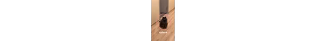 ikes banner