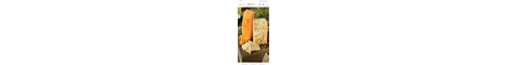 cheesyserver banner
