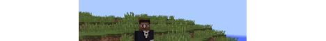 bestiserver banner