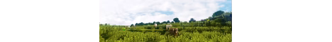 Ultra SMP banner