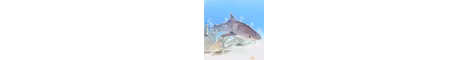 Blueberry Lemonades Server banner