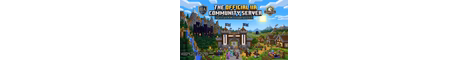 IIA banner