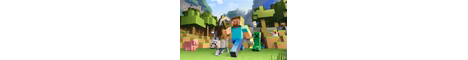 default server banner