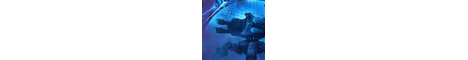 FOR AIUR banner