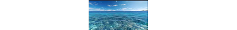ocean lovers banner