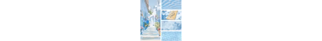 VanguardSMP banner