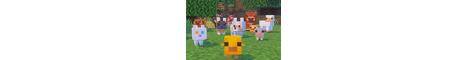 melonsmp banner