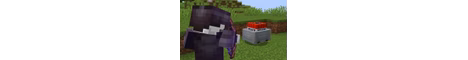 pvppro banner