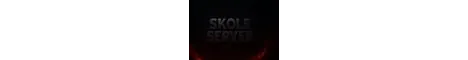 Skole server banner