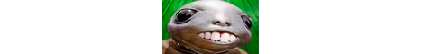 Burgertron banner