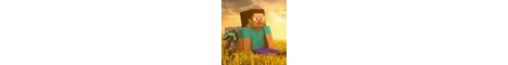9 ano 2026 brasilero banner
