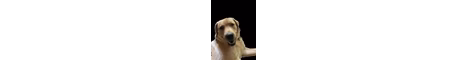 buoySMP banner