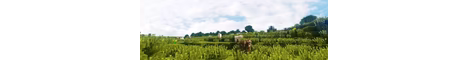 Yass server banner