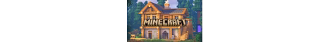lifetime SMP banner