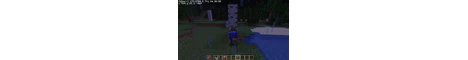 survie PVPpve banner