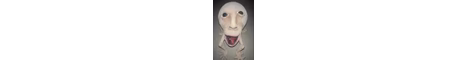 IdioticCousins banner