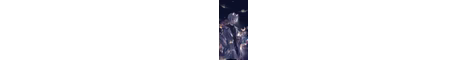 kin banner