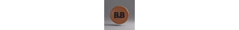 thebbserver banner