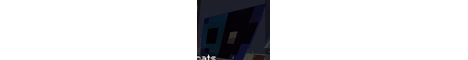 LiamSMP banner