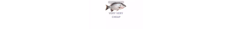 One Pound Fish SMP banner
