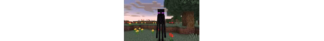 EndermanSMP banner