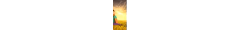heartstealsmp banner
