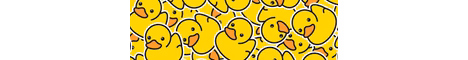 anarcy banner