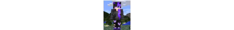 UNDISPUTED SMP banner