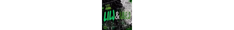 LilJaySMP banner