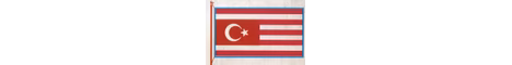TuranSMP banner