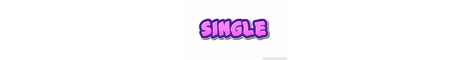 SinglerSMP banner