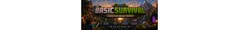 basics banner