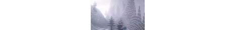 n1ghtsmp banner