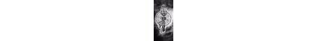 itsswight banner